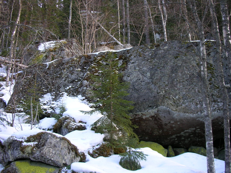 Metsä