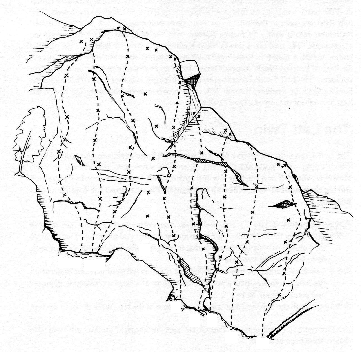 Luskville Down Under