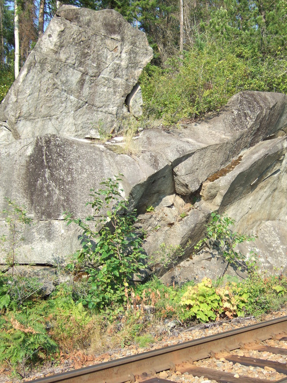 Tree Fort Boulders