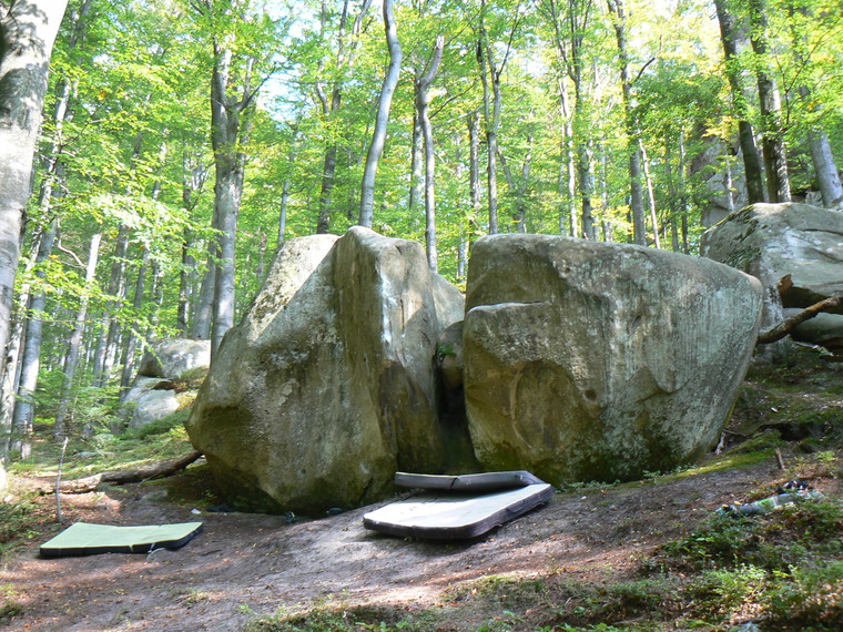 Каменный баклажан