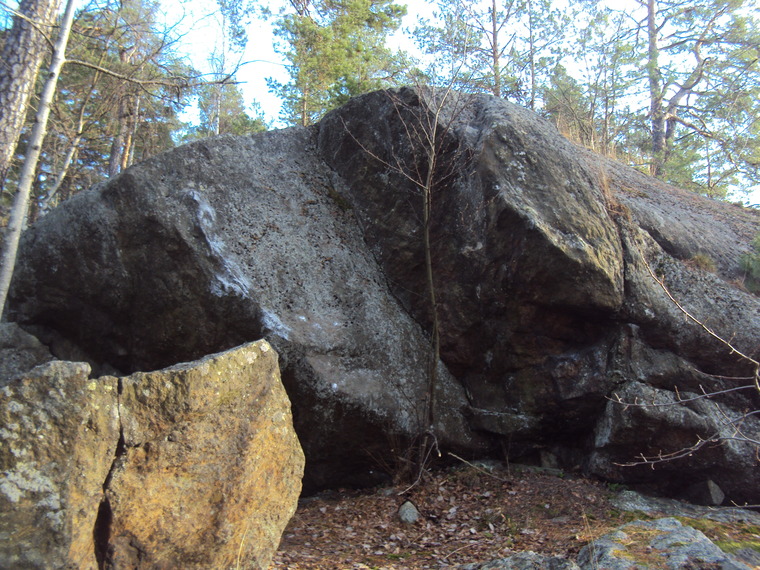 Hajen 1 At Utsikten Skuru