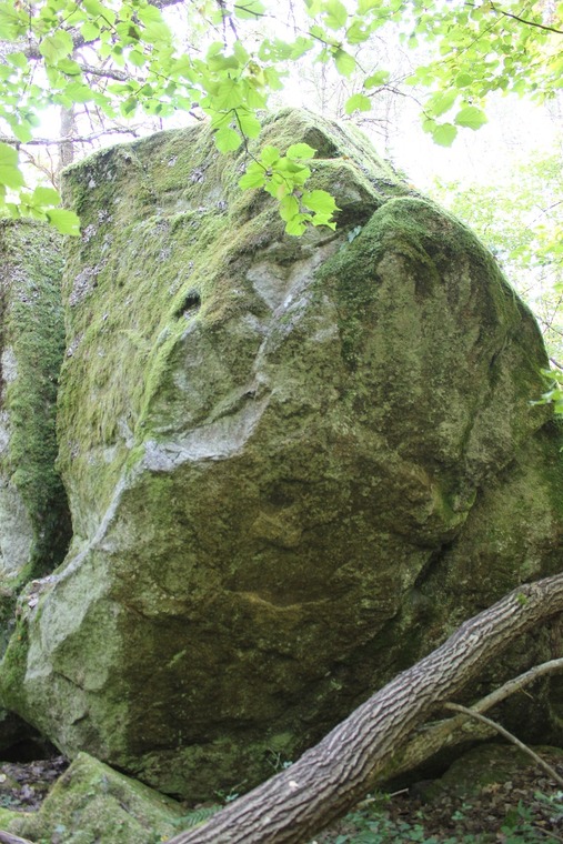 Predikstonen - boulder