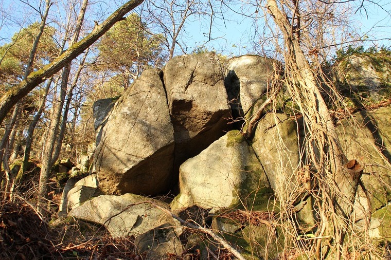 Sektor1