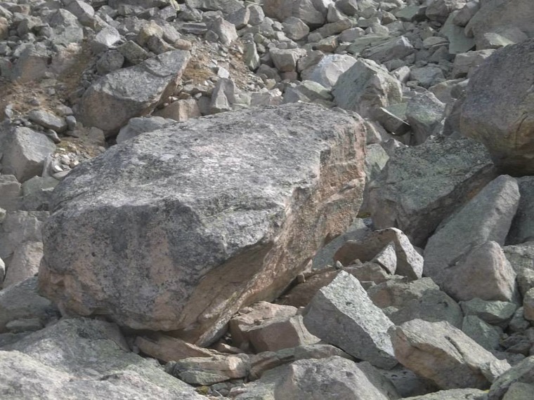 Semi large boulder