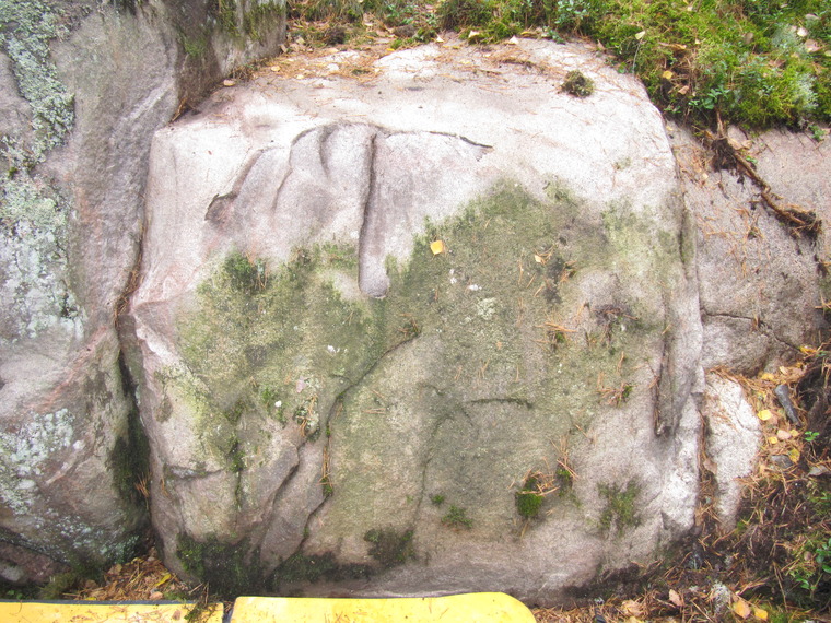 Kiviset kivi