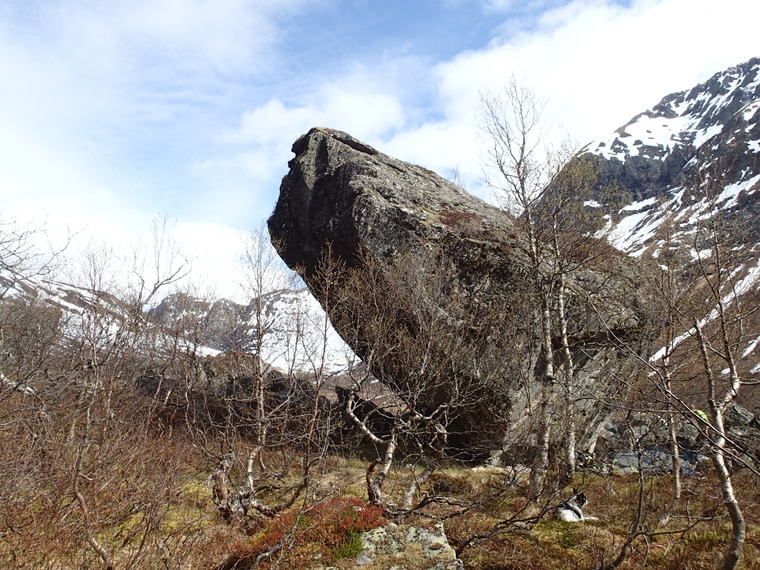 Bakkedalen