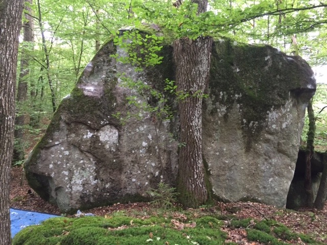 Stenen i dalen
