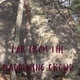Far From the Maddening Crowd thumbnail