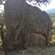 4 mile creek meadow boulders