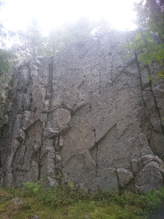 Newbie cliff