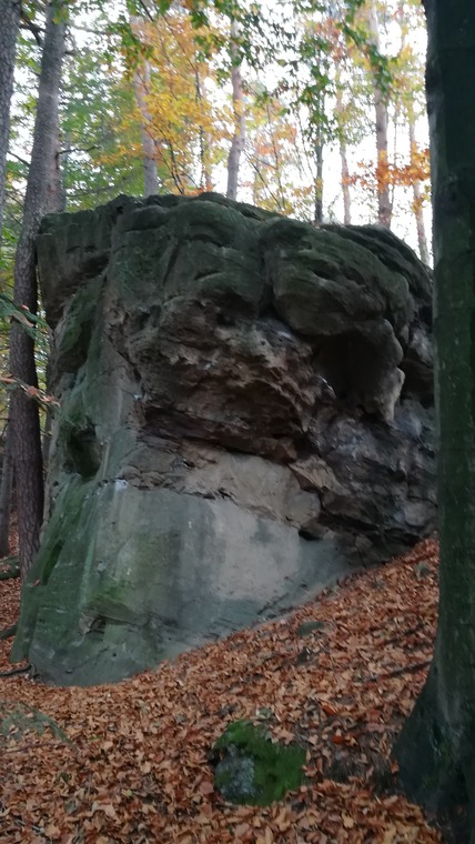 Kamień z Drzewem