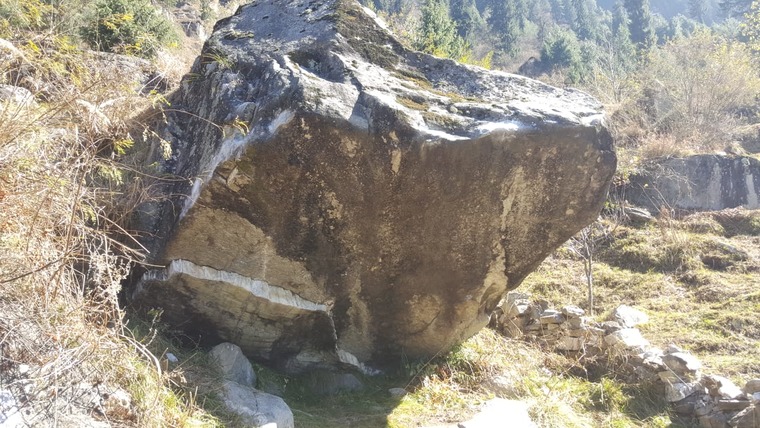 Seahorse boulder