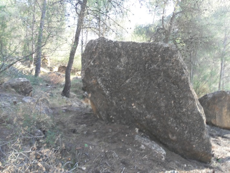 Peke Park- Bloque:Terronzico