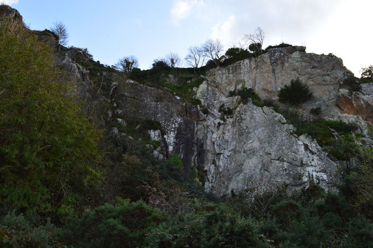 Upper Cliffs