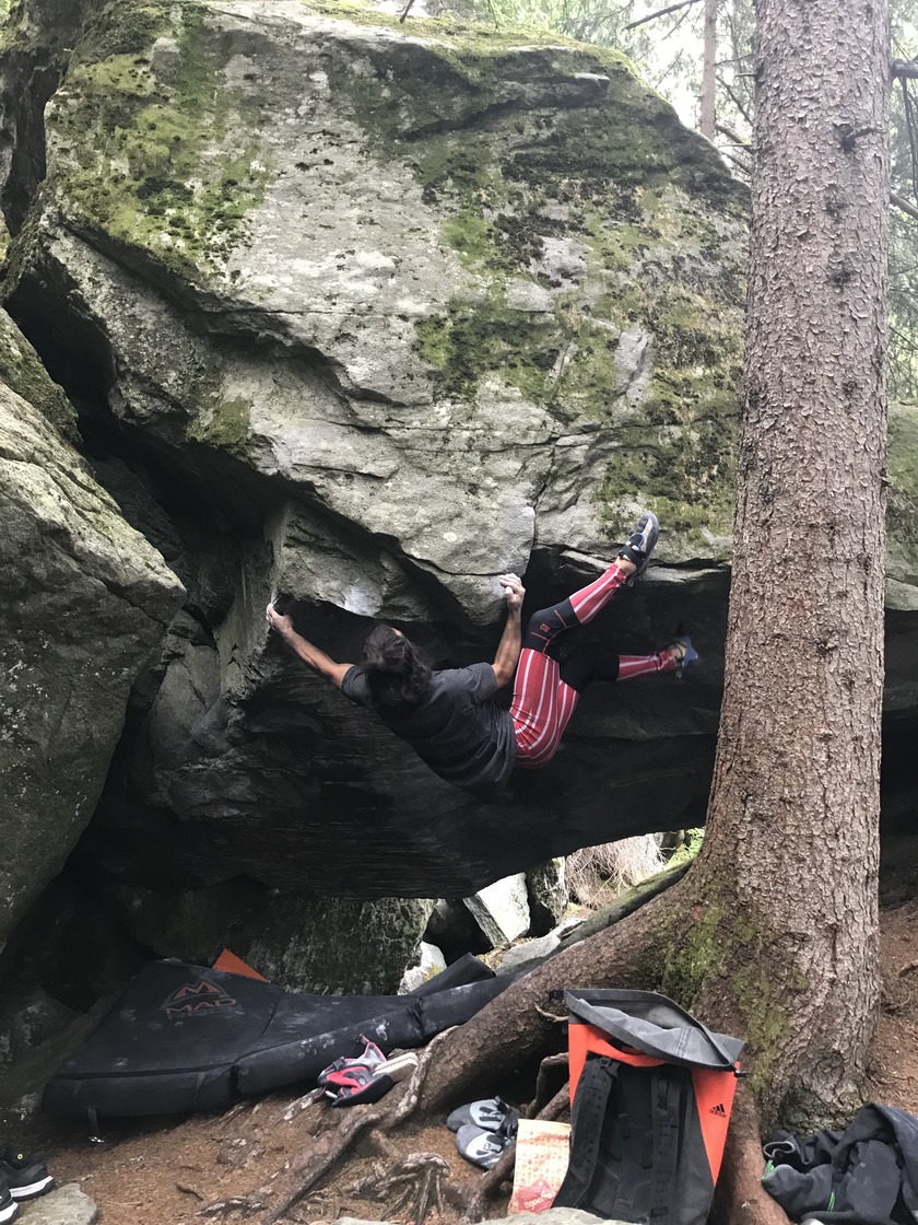 Bouldering in Magic Wood | Full Info and Topos