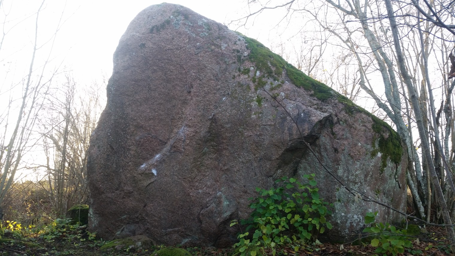 Glacial Granite Boulders XL