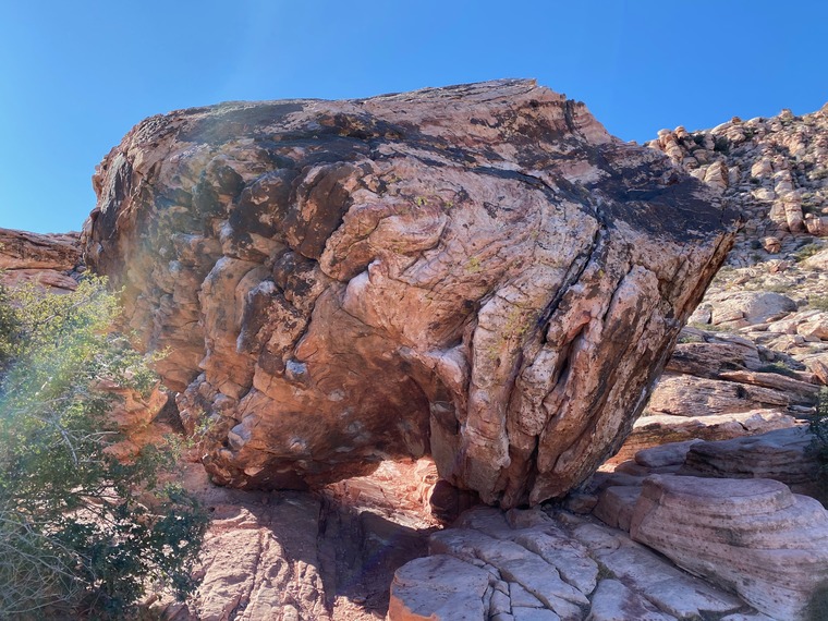 Turtle Shell Boulder