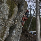 Joel Älgamo