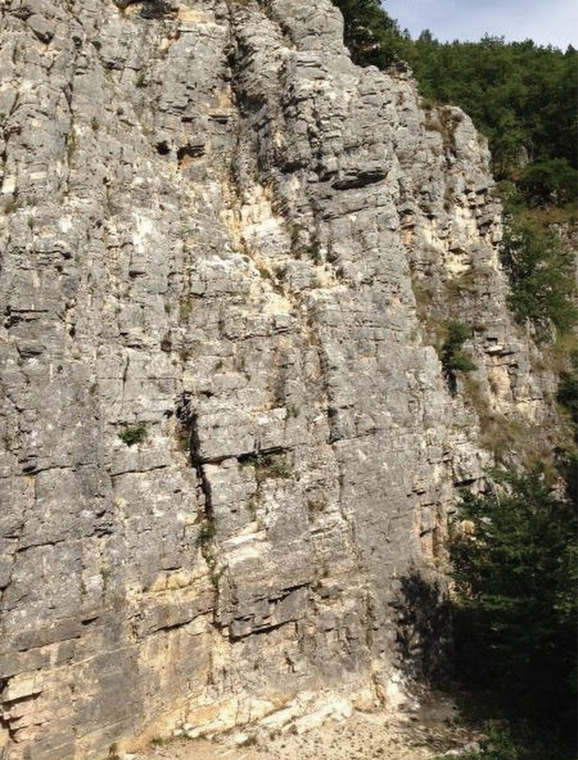 Falesia di Genzano di Sassa