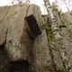 Climbus naturalis thumbnail