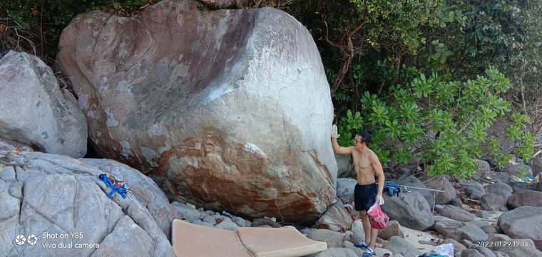 Beach Whale boulder