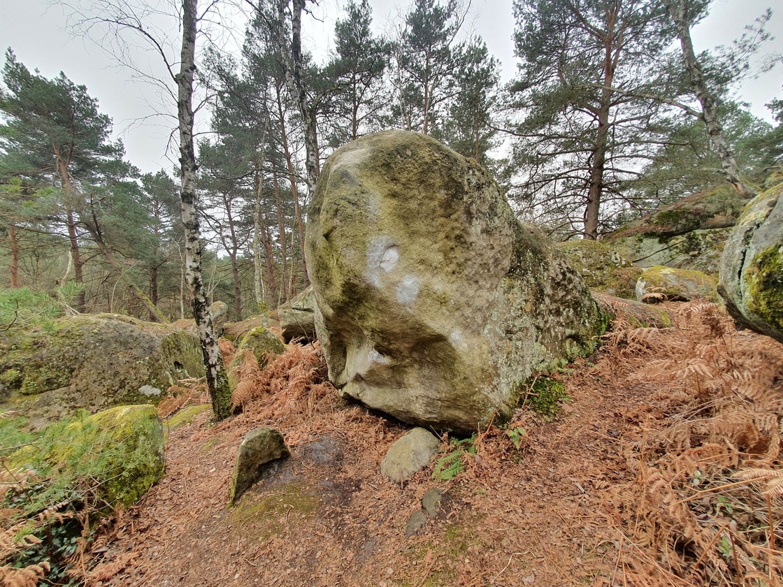 Tuomo Kärkkäinen