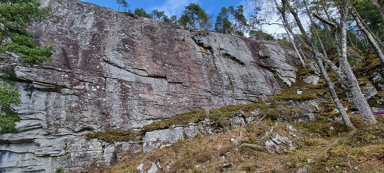 Sagefloten høyre