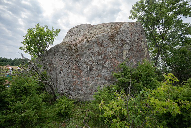 Väike-Pakri rändrahn