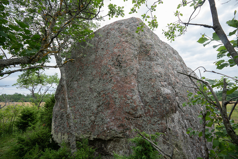 Väike-Pakri rändrahn