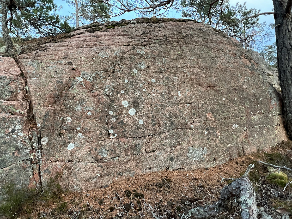 Tuomo Kärkkäinen