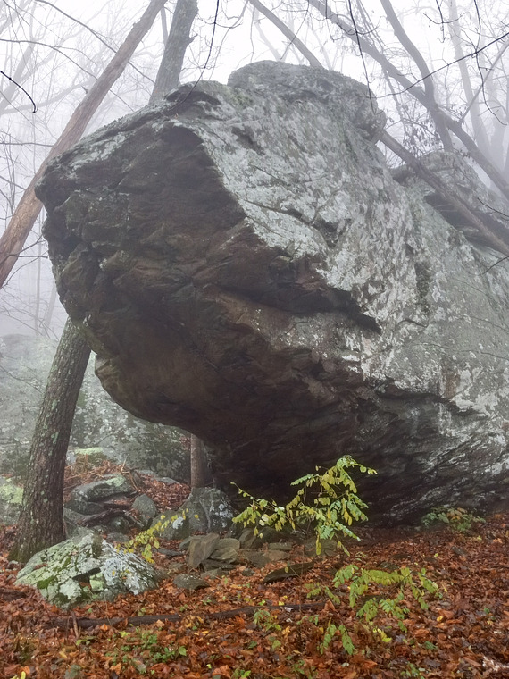 Whipping Tree Boulder 