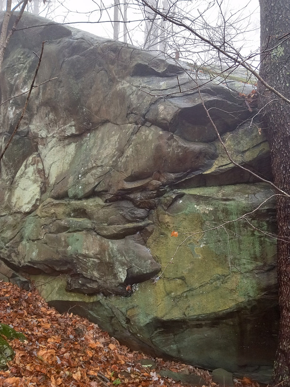 Whipping Tree Boulder 