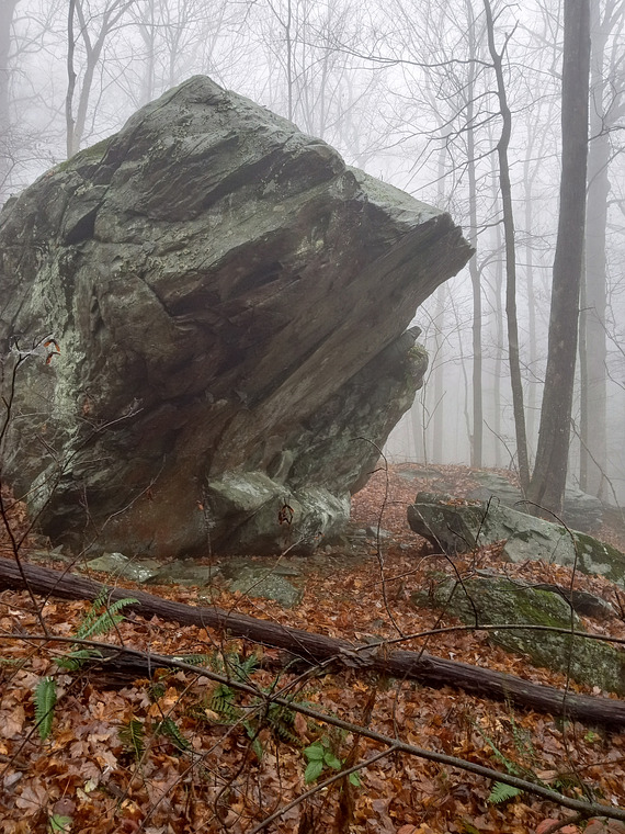 Whipping Tree Boulder 