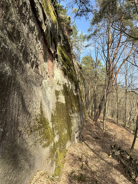 Steinbruch Dahn Lachberg