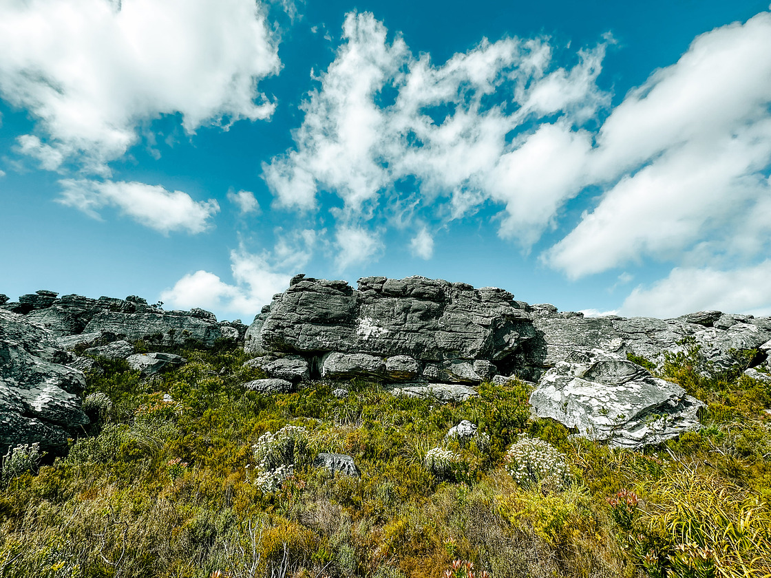 cederberg hiking boots