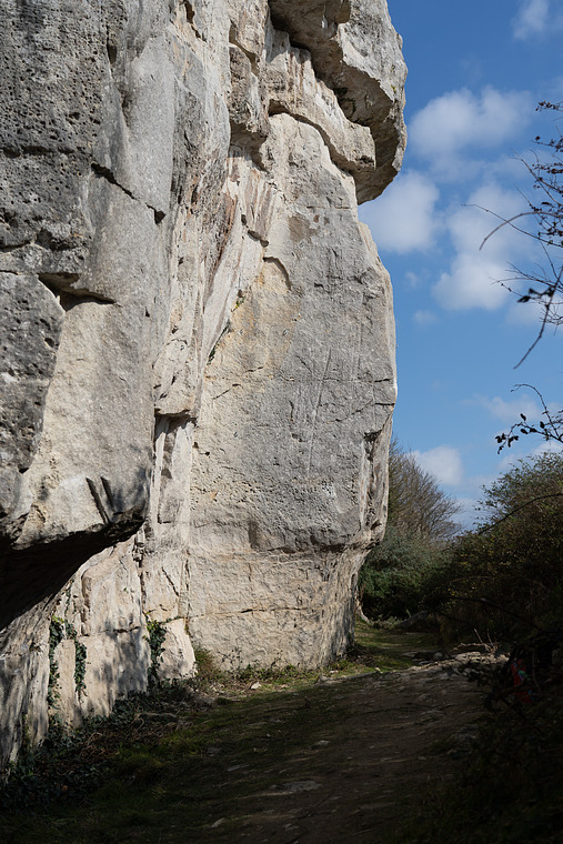 Cheyne House Quarry