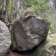 Fontainebleau thumbnail