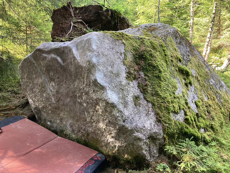 Tree Fall Boulder