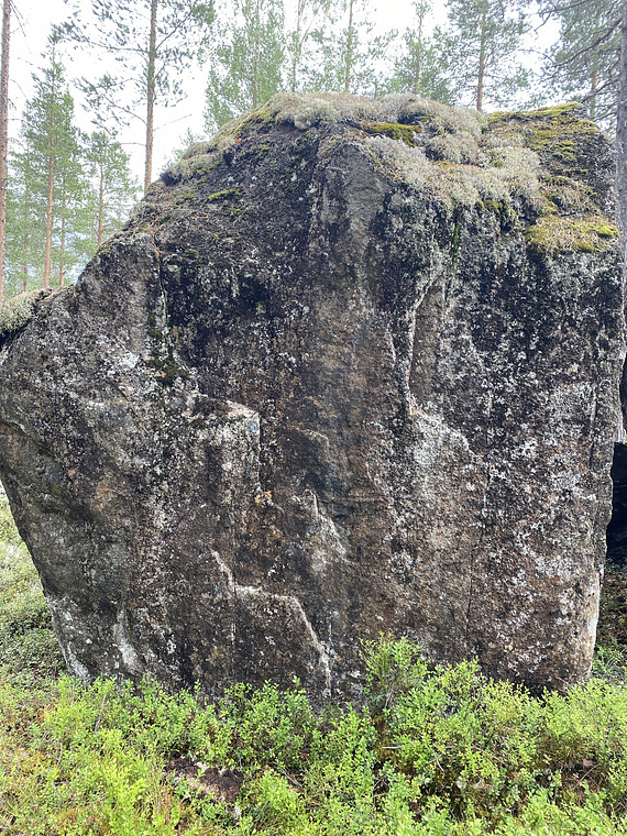 Blåbärsstenen