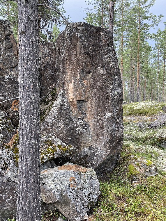 Blåbärsstenen