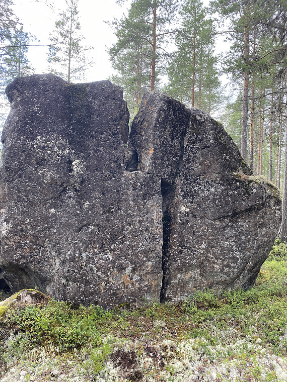 Blåbärsstenen