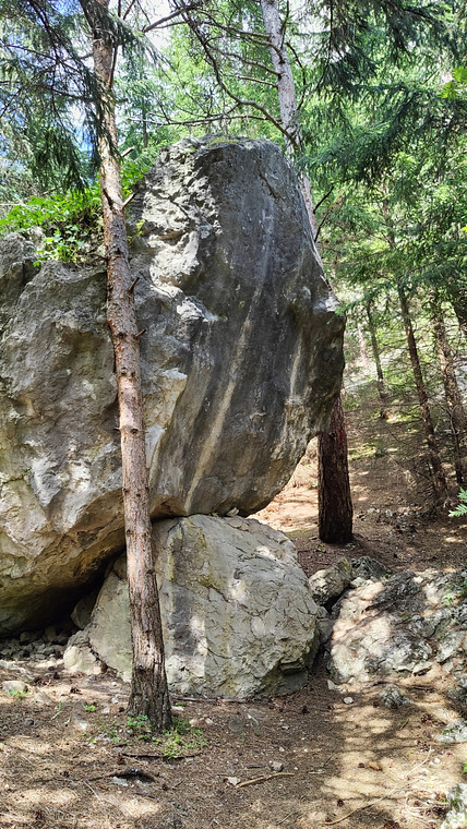Cabana Ecolog - big boulder