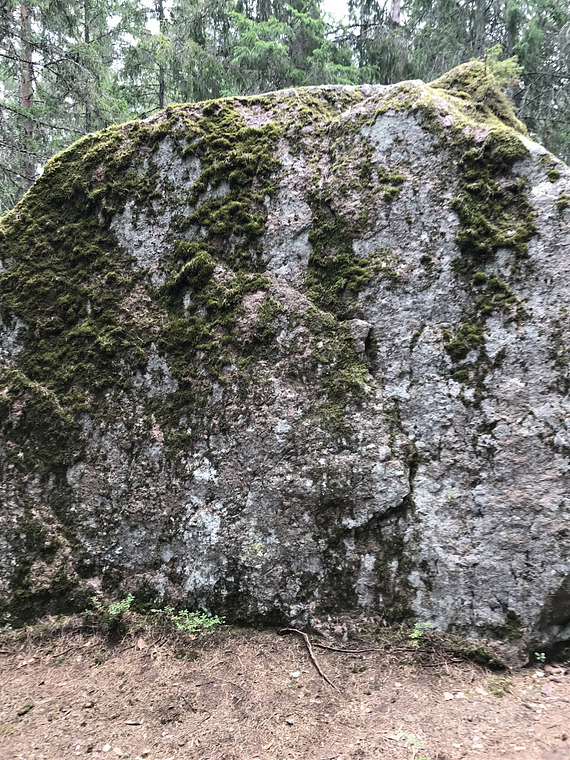 Suur kivi metsas
