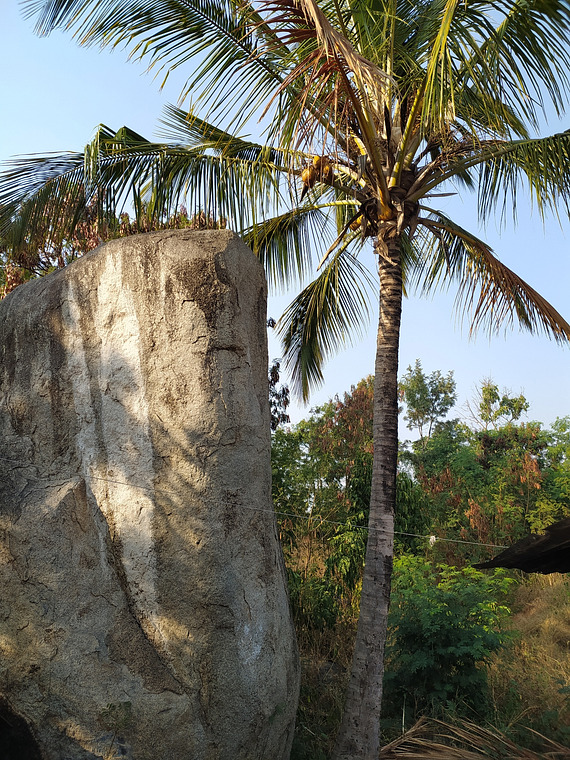 Coconut boulder 