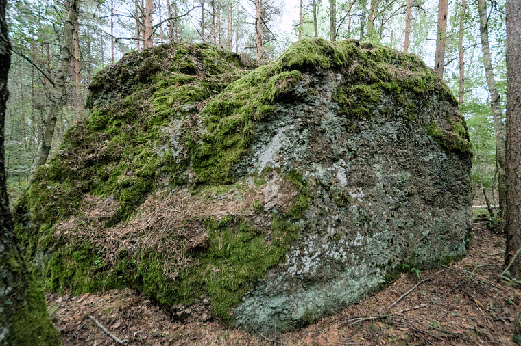 Männiku raba rahn