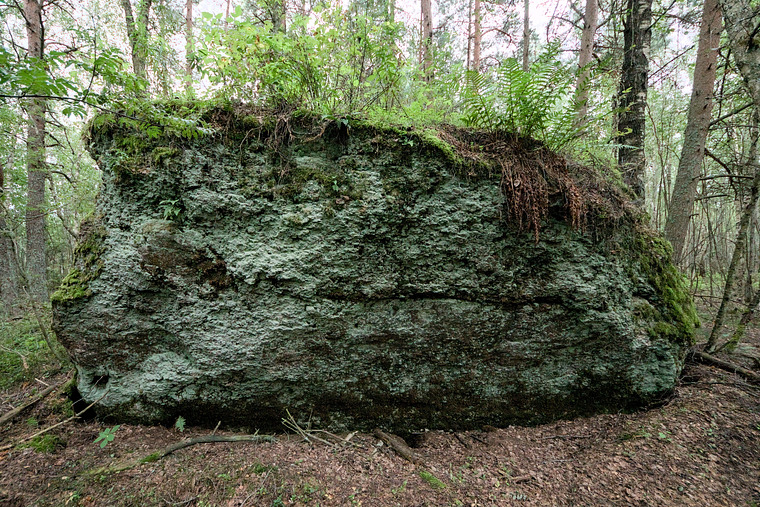 Männiku raba rahn