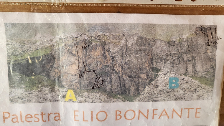 Palestra elio bonfante