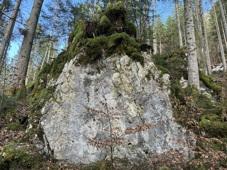 Herzlich boulder