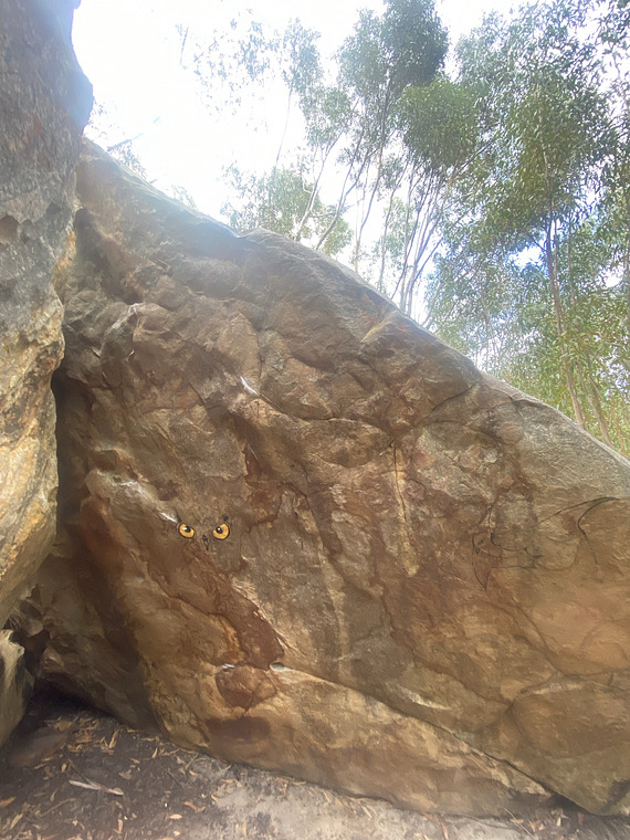 Eagle Owl Boulder