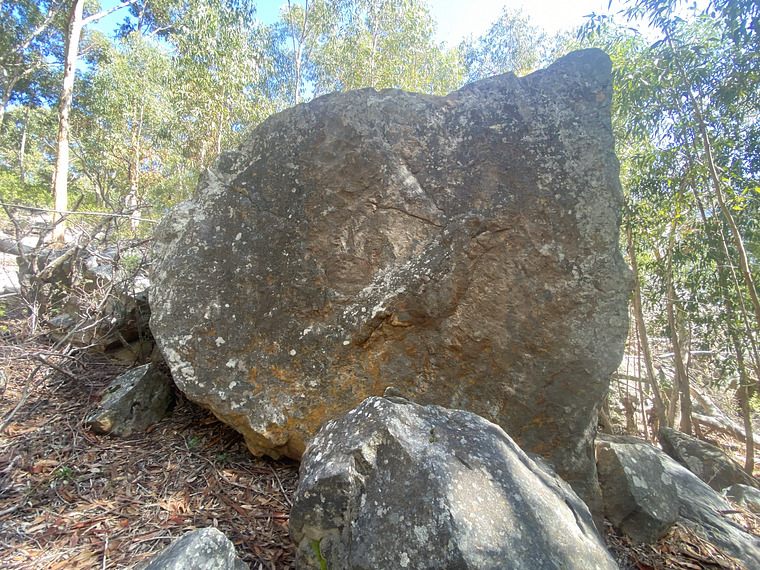 Waving Wall